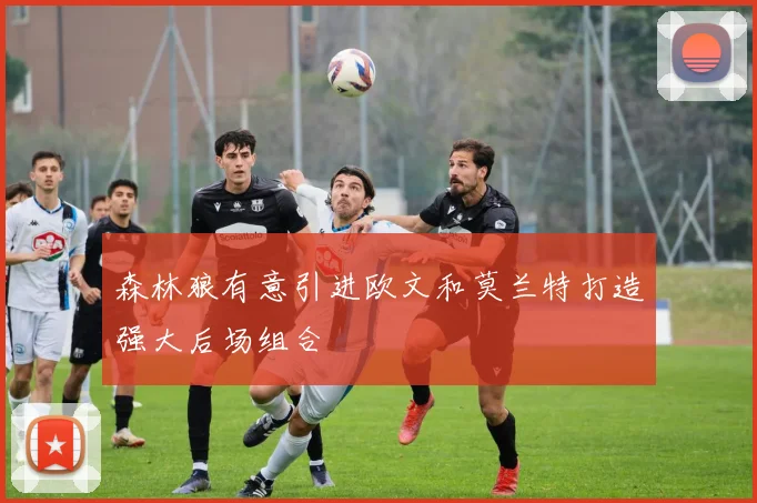 森林狼有意引进欧文和莫兰特打造强大后场组合