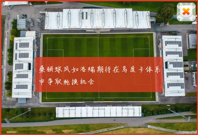 桑顿球风如洛瑞期待在乌度卡体系中争取轮换机会