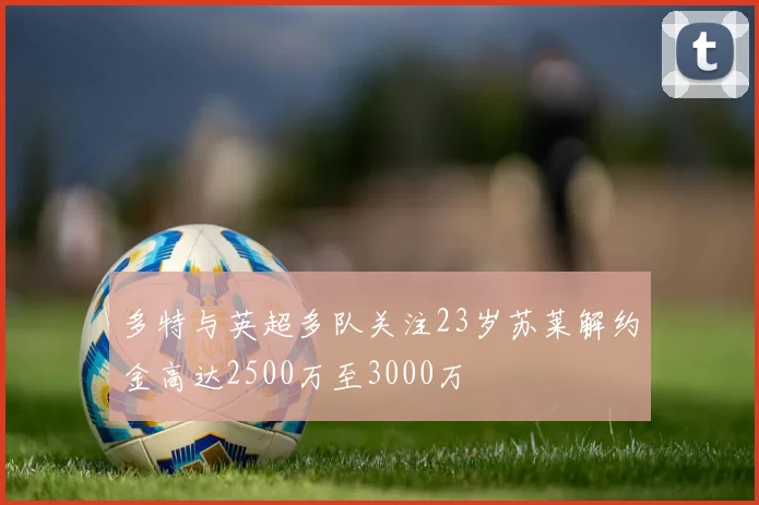 多特与英超多队关注23岁苏莱解约金高达2500万至3000万